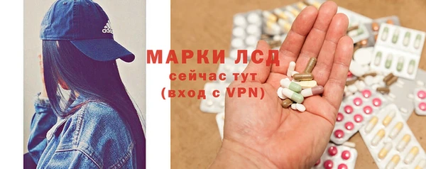 прущие грибы Баксан