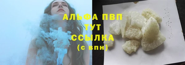 прущие грибы Баксан