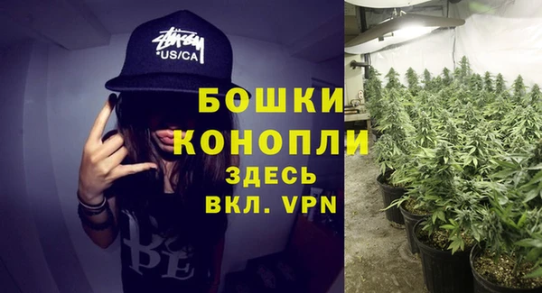 прущие грибы Баксан