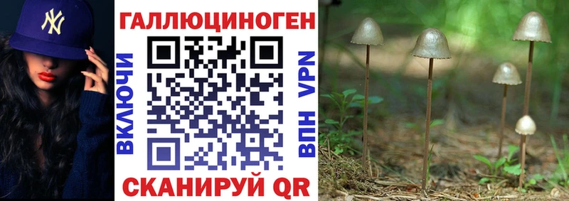 Псилоцибиновые грибы MAGIC MUSHROOMS  Олёкминск 